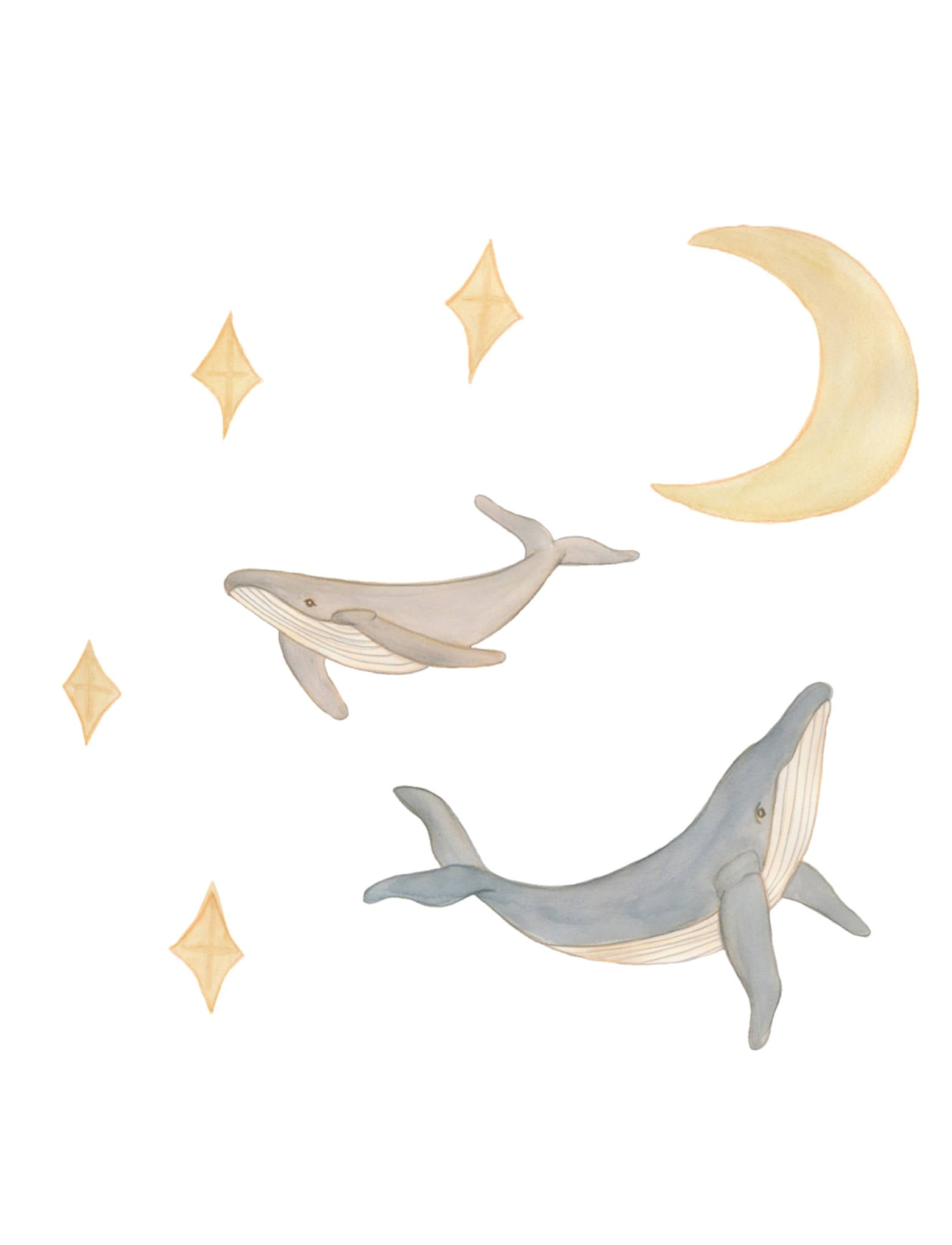 That's Mine Wallsticker hvaler og himmel - Multi - 100% Tekstil folie Buy Bolig & udstyr||Børneværelset||Wallstickers||Alle||personale||alt minus sløjfe||NOOS||Wallstickers - himlen||Wallstickers - andre dyr||mette-sale||noos u. 350||Black week - bundle 2||Orderly Emails - Recommended Products||Udstyr til børneværelset||All here.