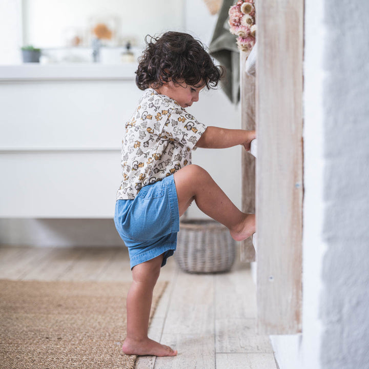 Sander shorts - Blue