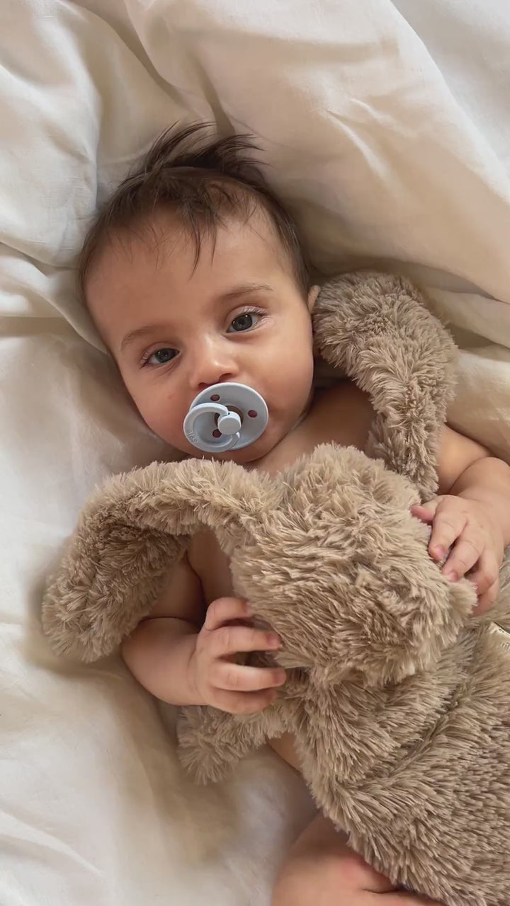 Houston schwerer Teddy klein - Bunny